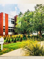 PHOTO Photographx Postcard Roe