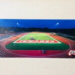 PHOTO Photographx Postcard Schipper Field