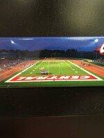 PHOTO Photographx Magnet Panoramic Schipper Stadium