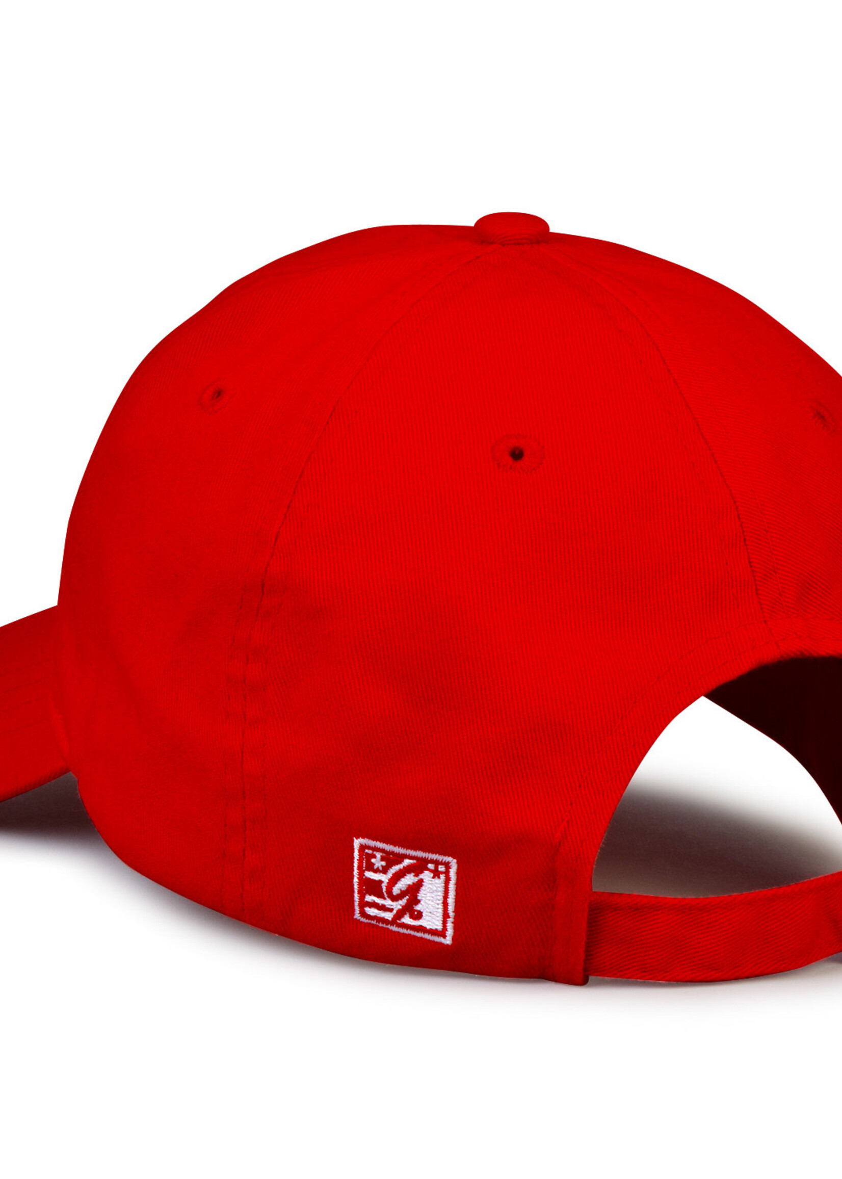 The Game The Game Dad Hat DUTCH