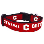 ALL STAR DOGS All Star Dogs Collar