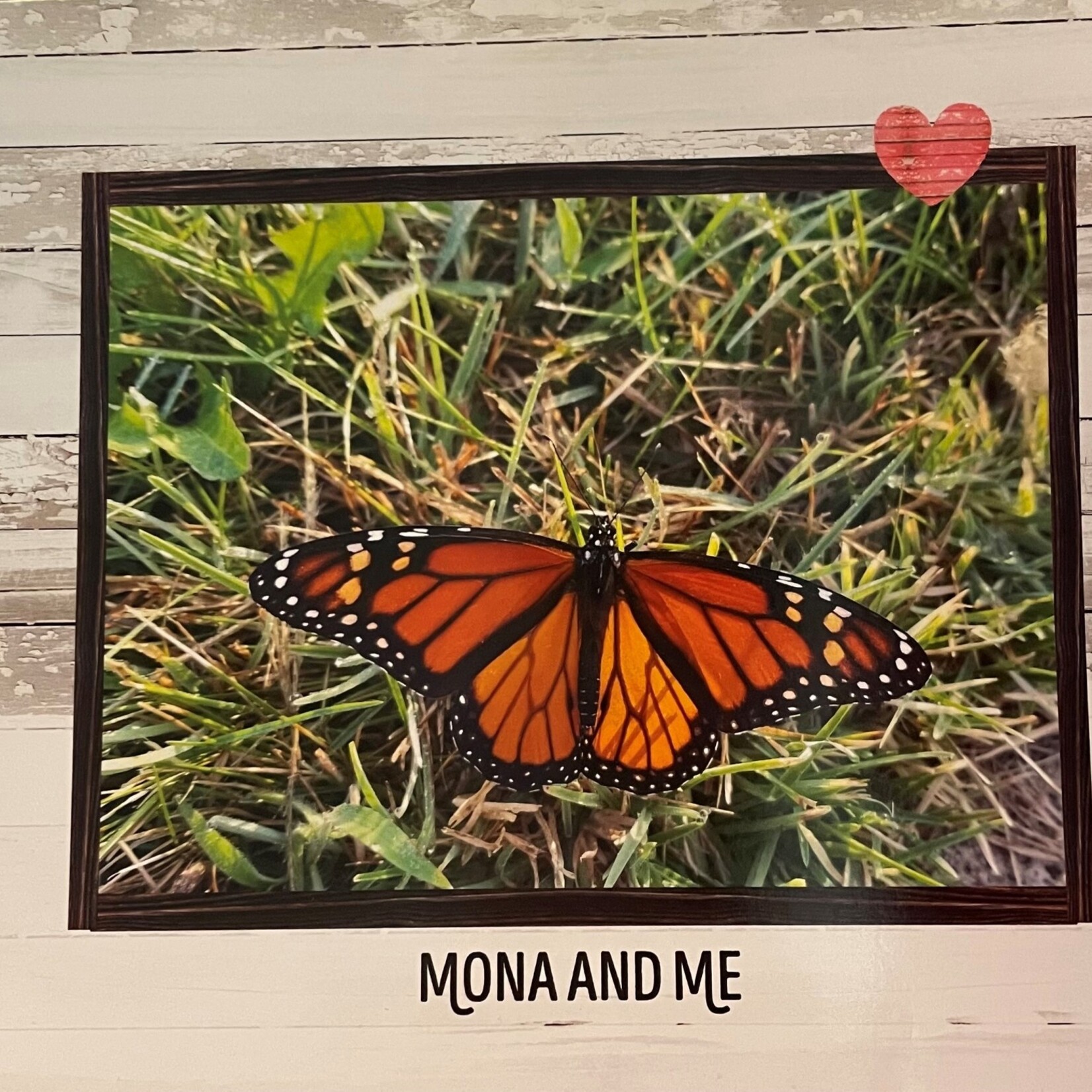 Mona and Me Book  by Wilma Hoekstra
