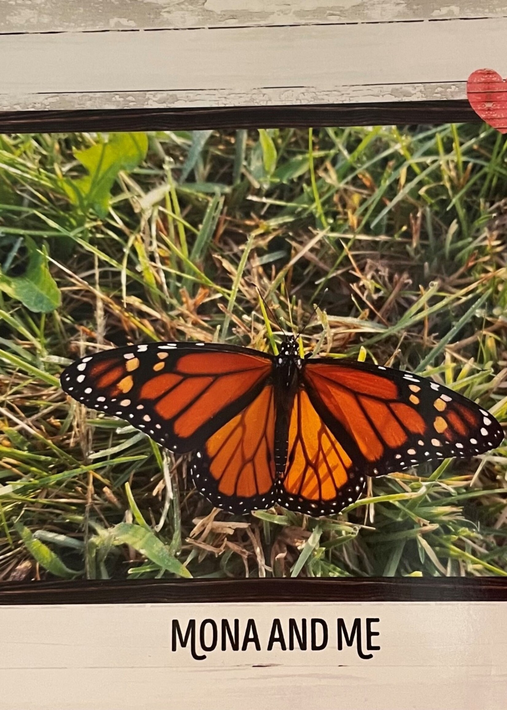 Mona and Me Book  by Wilma Hoekstra