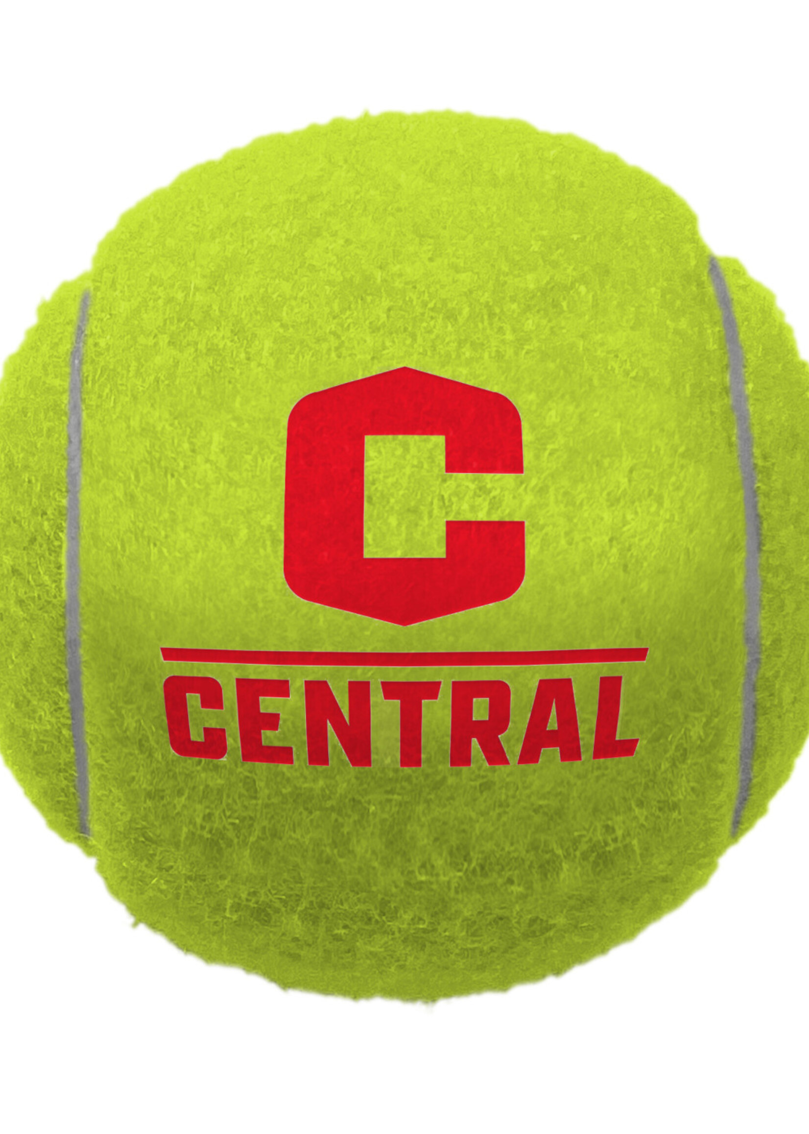 Shop Insta Pets Shop InstaPets Tennis Ball Set of 3