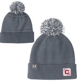 Under Armour UA Pom Beanie Gray