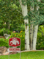 Janssen Fabrications Janssen Fabrications Yard Sign Lion Logo