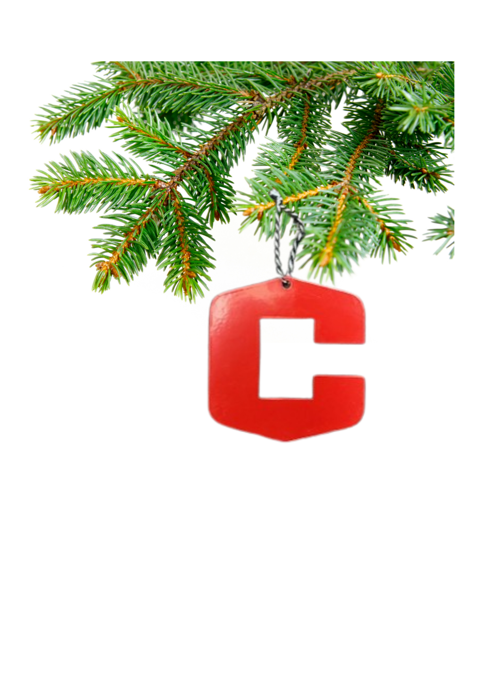 Janssen Fabrications Janssen Fabrications Ornament C Logo