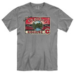 NA New Agenda Vintage Bridge Tee Gray