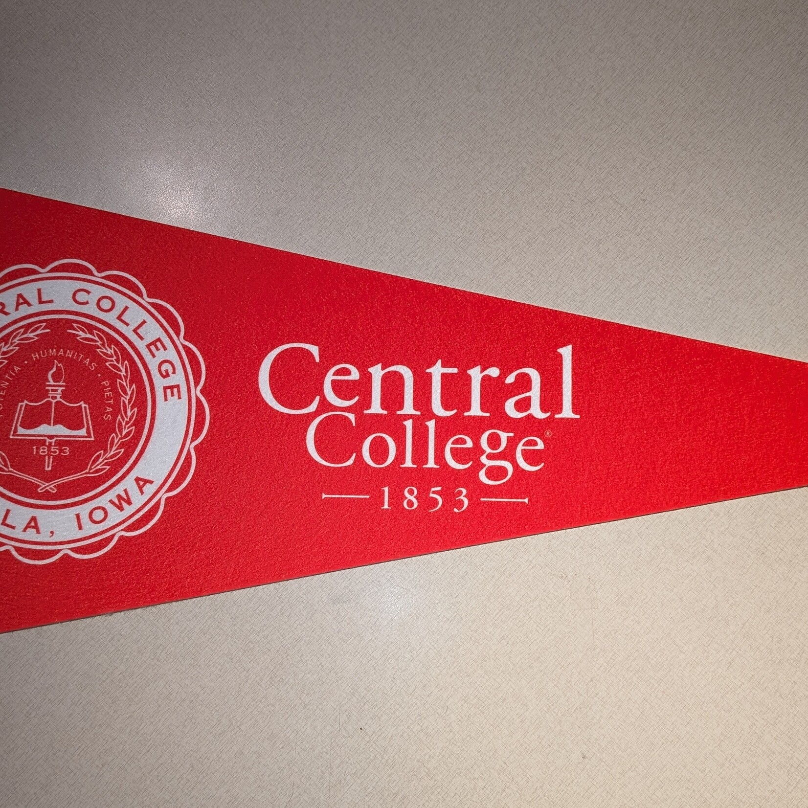 Jardine Jardine 12" x 30" Seal Pennant