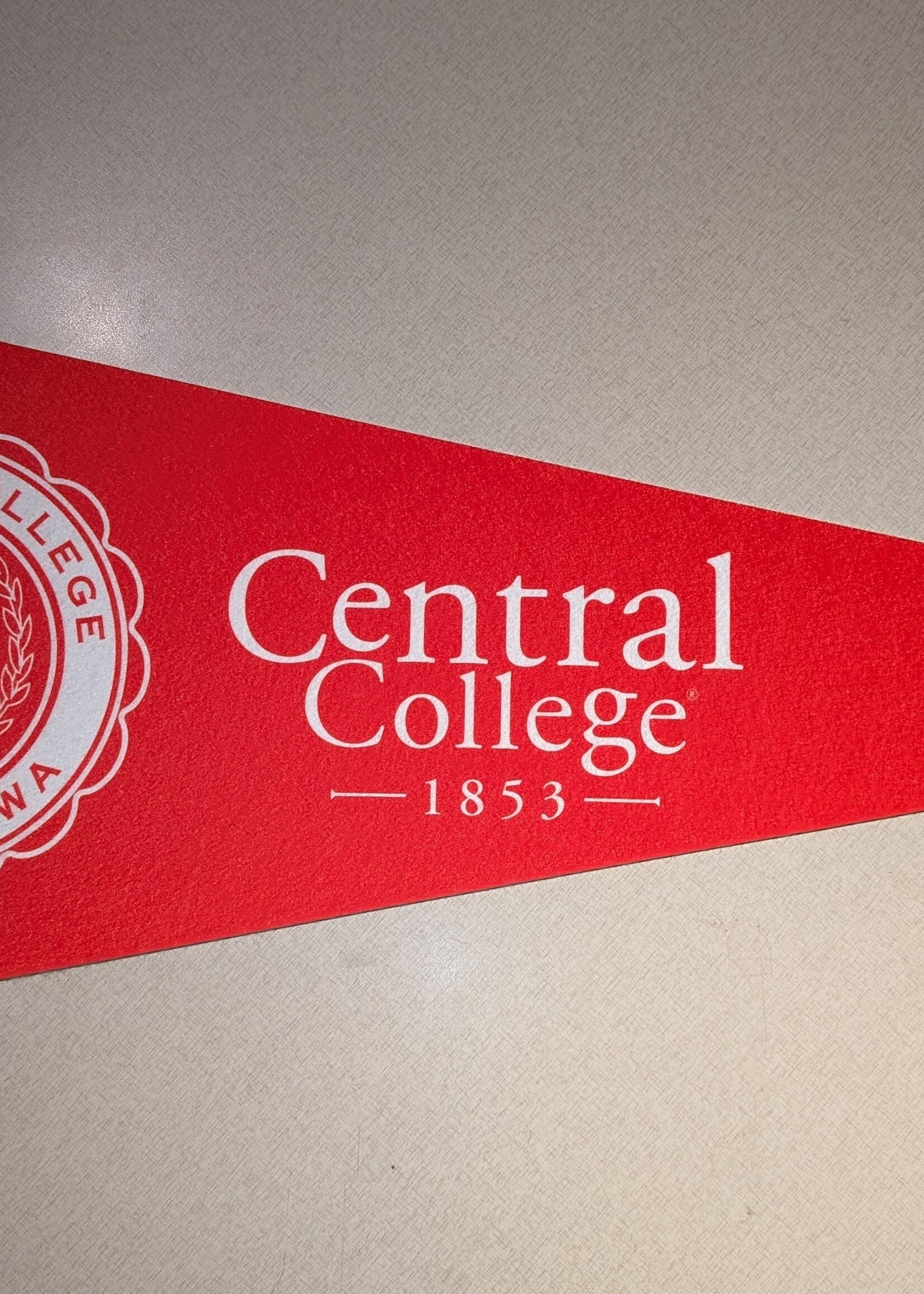 Jardine Jardine 12" x 30" Seal Pennant