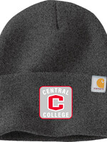 Carhartt Carhartt Patched Beanie