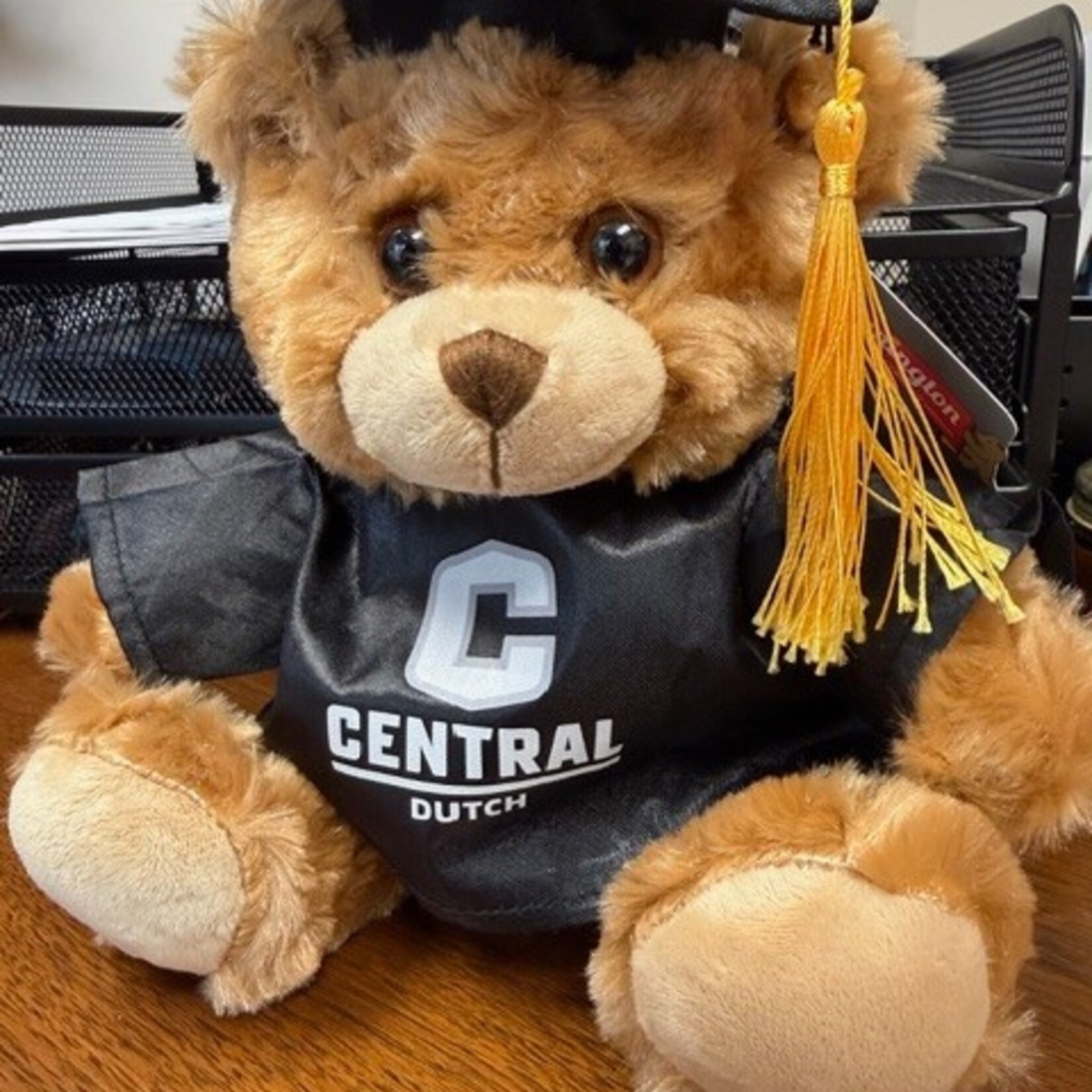 Pennington Bear Company Pennington Bear Graduation Buddy