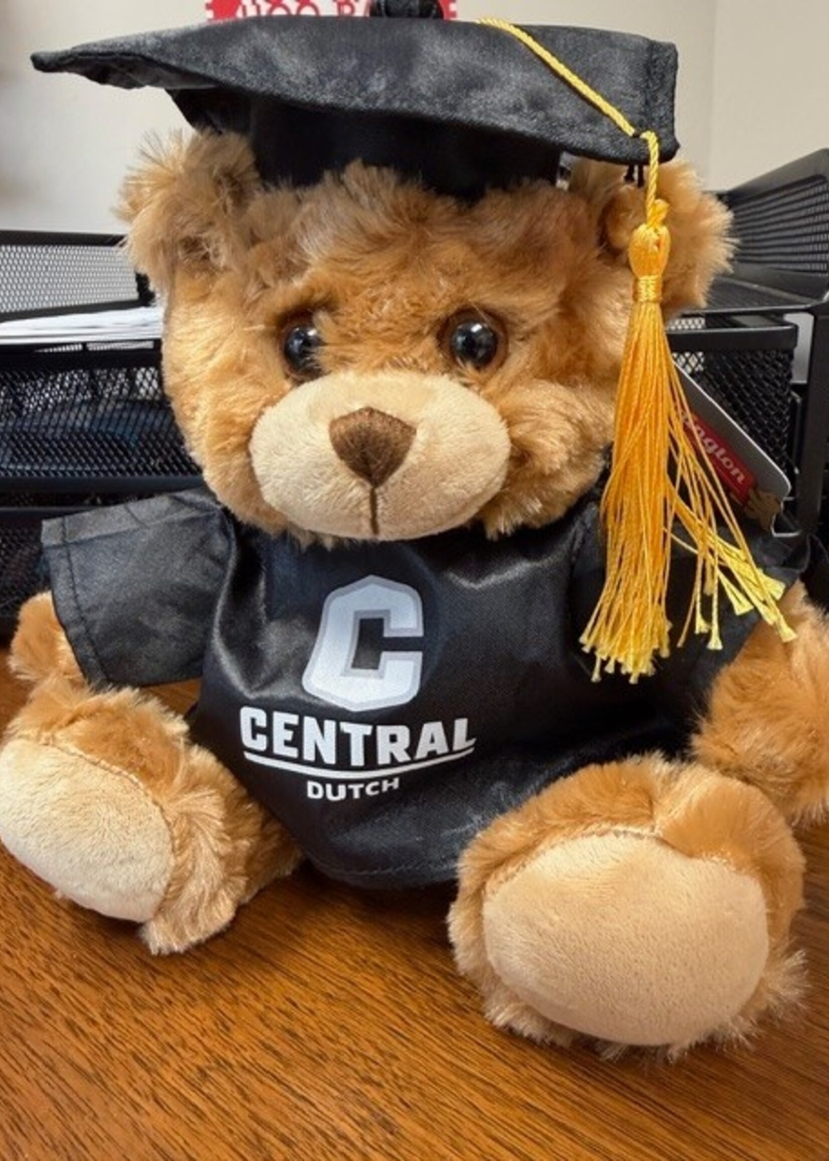 Pennington Bear Company Pennington Bear Graduation Buddy