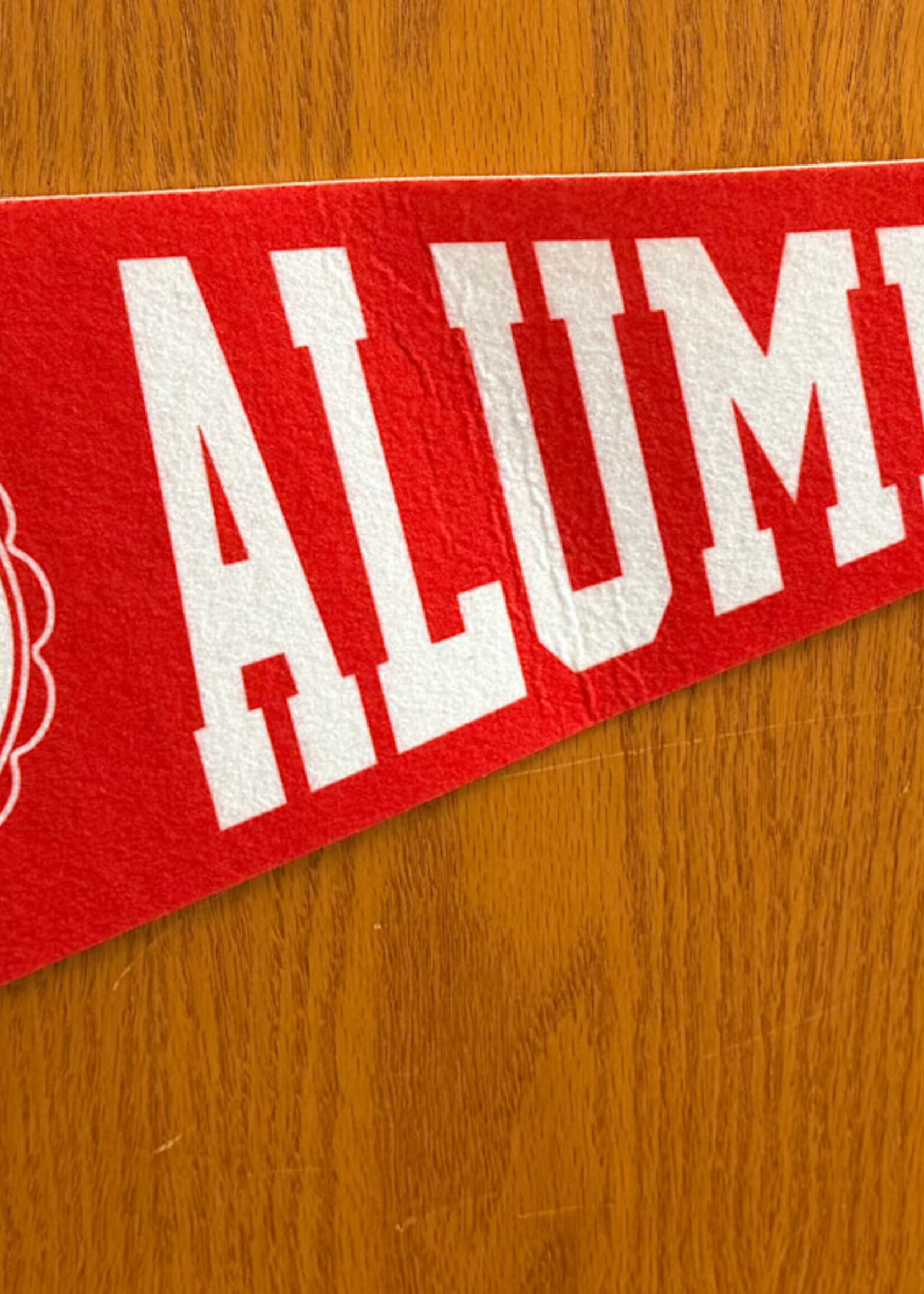 Jardine Associates Soft felt Pennant Alumni 9"by24"