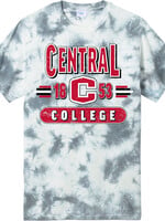 College House College House Tye Dye Tee Grey