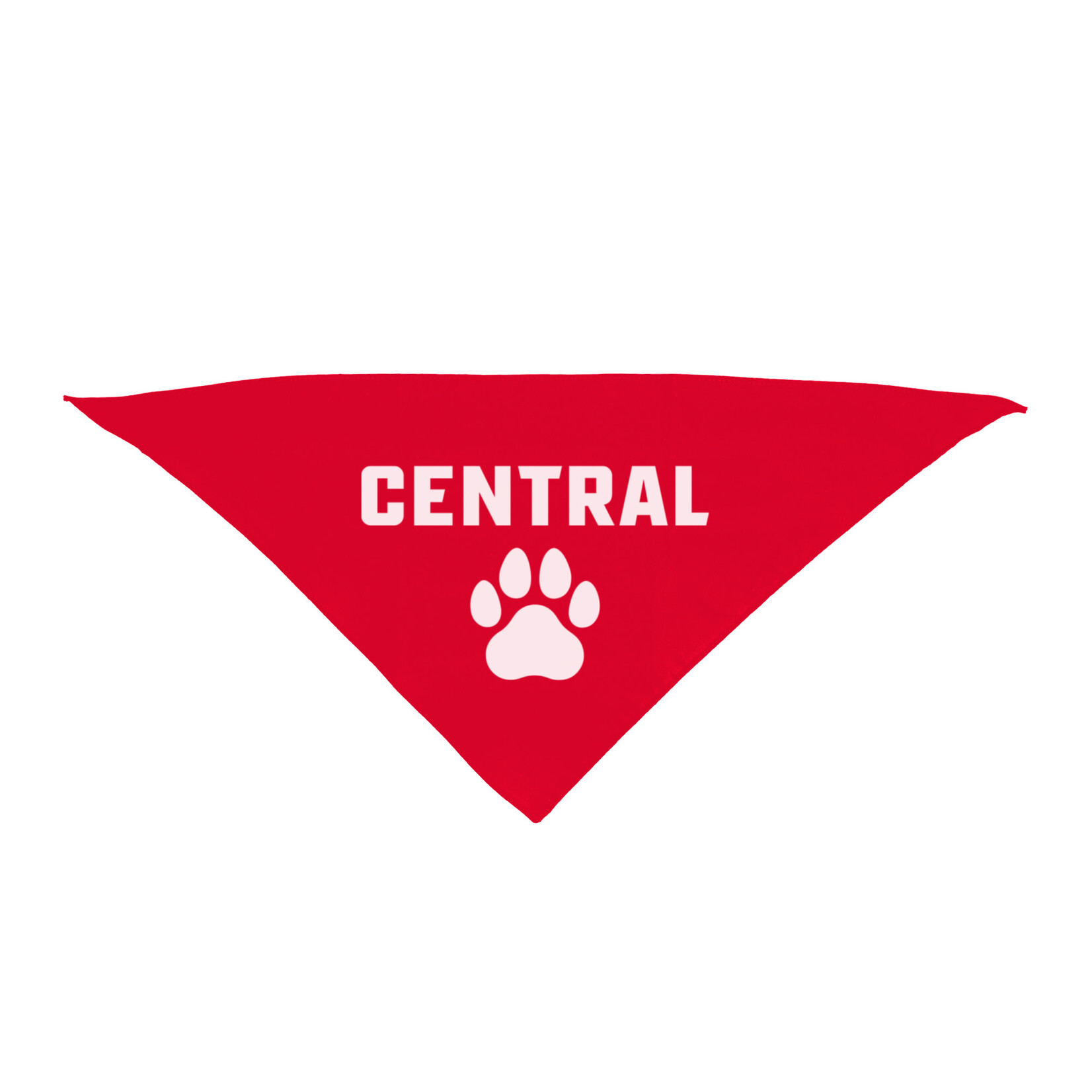 SPIRIT PRODUCTS Spirit Triangle Pet Bandana (2 Colors )