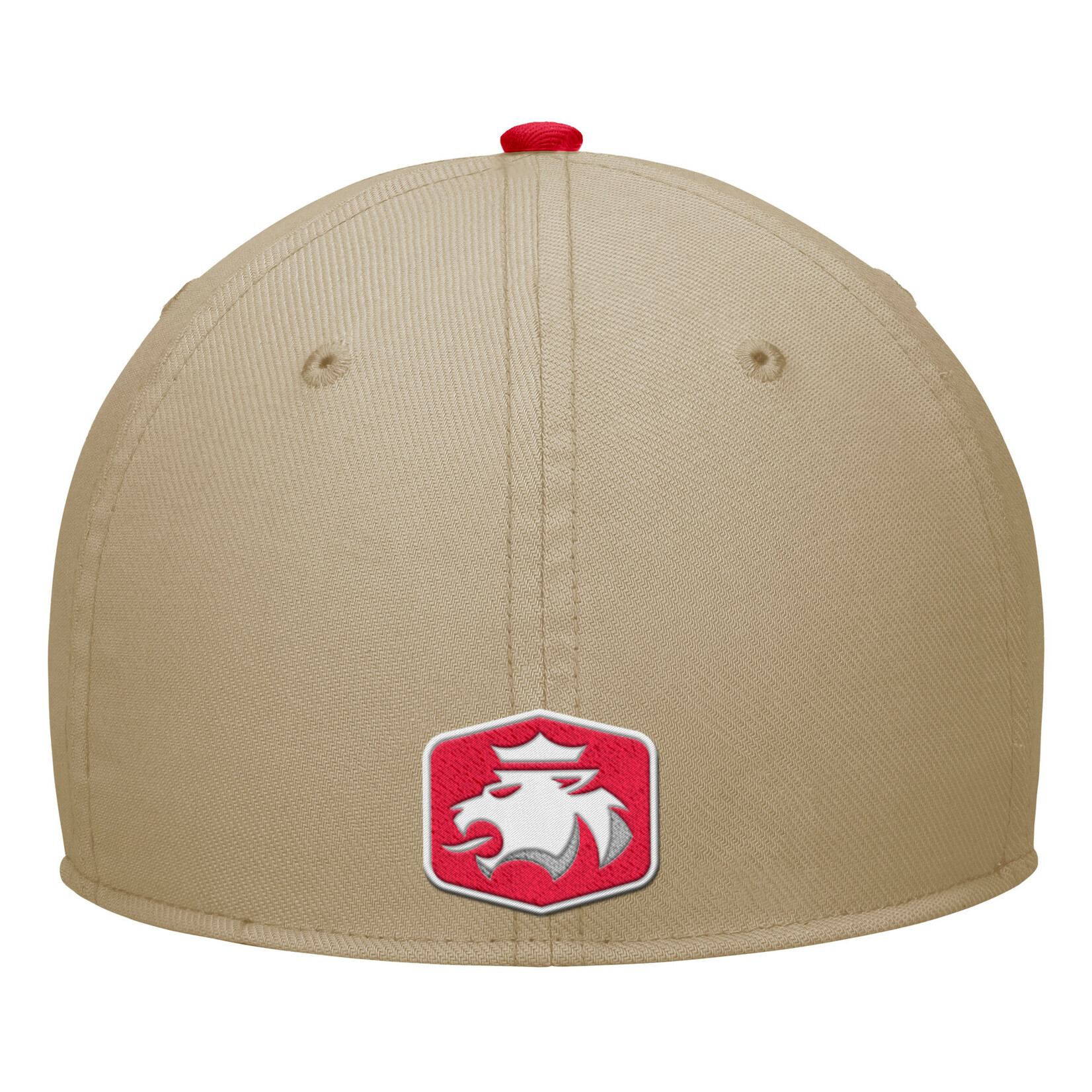 Nike Nike Swooshflex Rise Hats