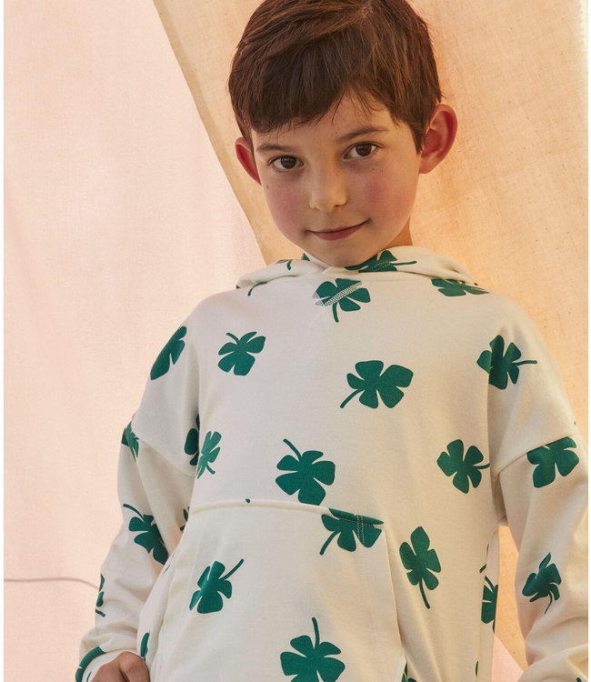 Petit Bateau Petit Bateau - BOYS' FLEECE HOODIE