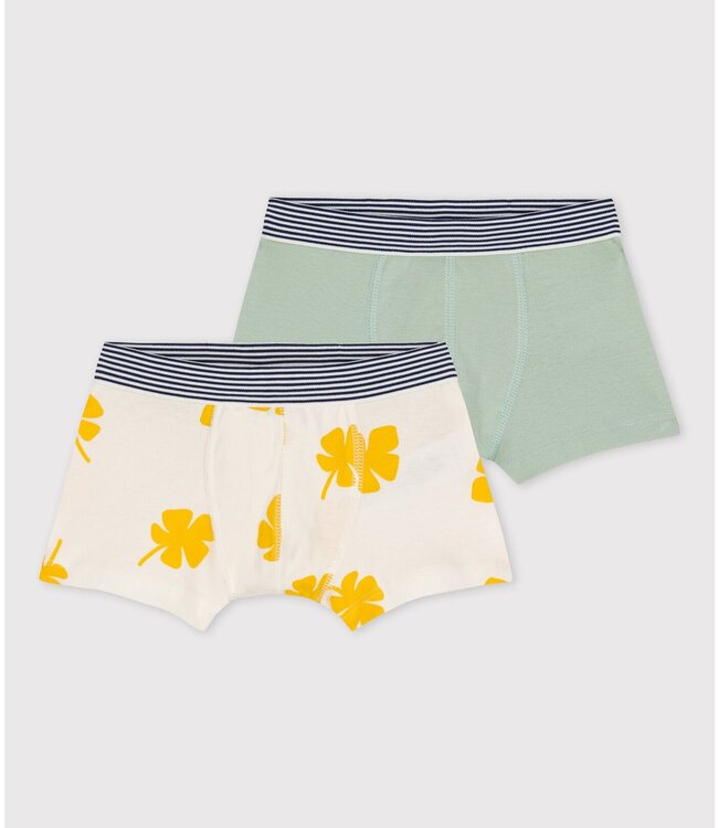 Petit Bateau Petit Bateau - BOYS' PALM TREE PRINT COTTON BOXER SHORTS - 2-PACK