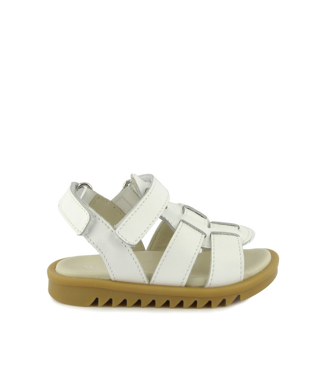 Montelpare Tradition Montelpare Tradition-SS22 MT6005 shoes