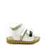 Montelpare Tradition Montelpare Tradition-SS22 MT6004 shoes