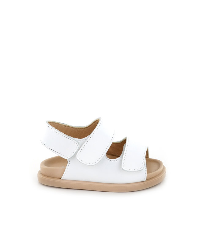 Montelpare Tradition Montelpare Tradition-SS22 MT1101 shoes