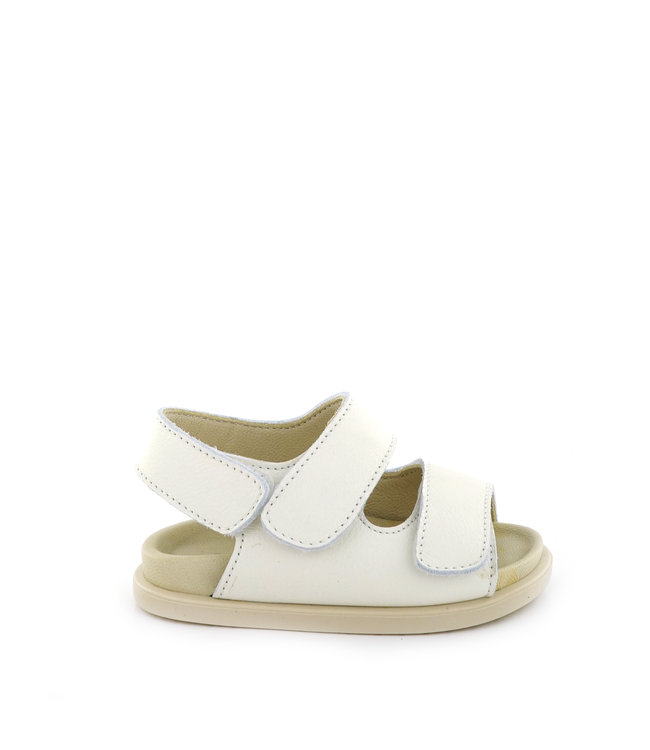 Montelpare Tradition Montelpare Tradition-SS22 MT1101 shoes