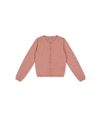 Il Gufo IL GUFO - Pink merino wool cardigan