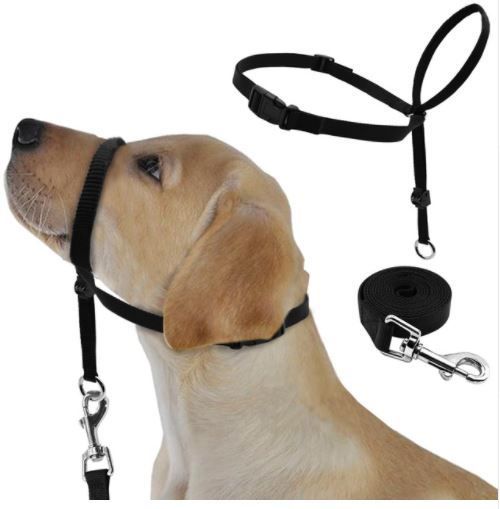 easy leader head collar