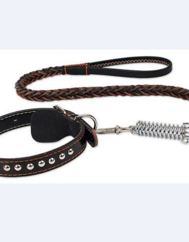 Large Dog Handmade Leash; Stud Collar; Shock Spring  - Beverly