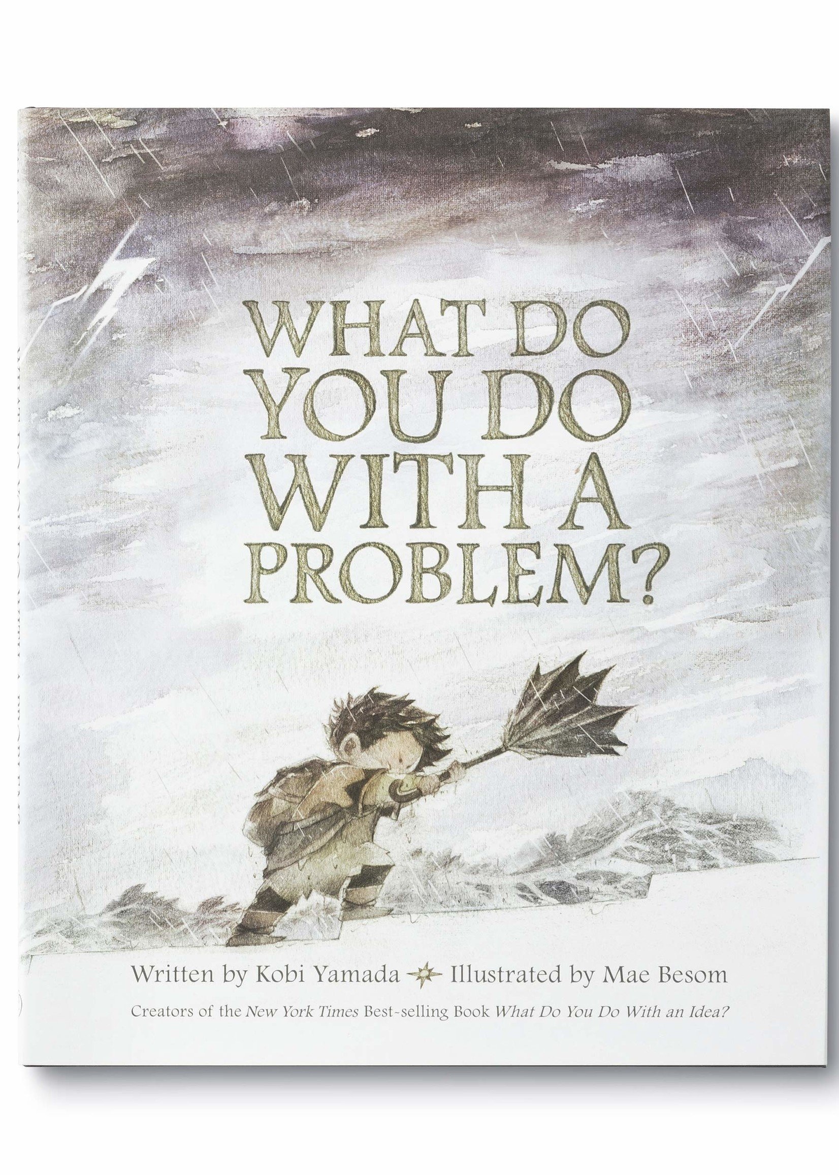 What Do You Do With A Problem? - Hardcover