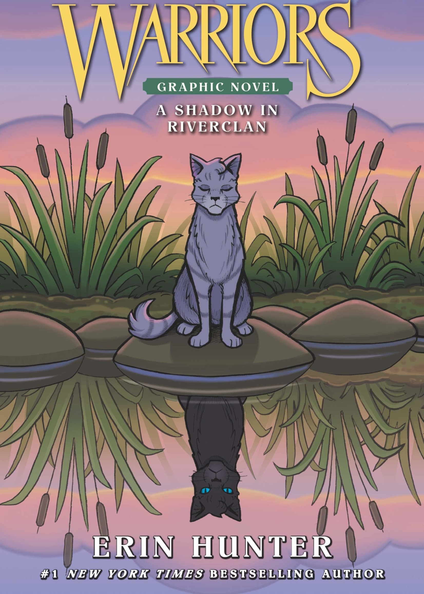 Warriors: A Shadow in Riverclan Graphic Novel - Paperback