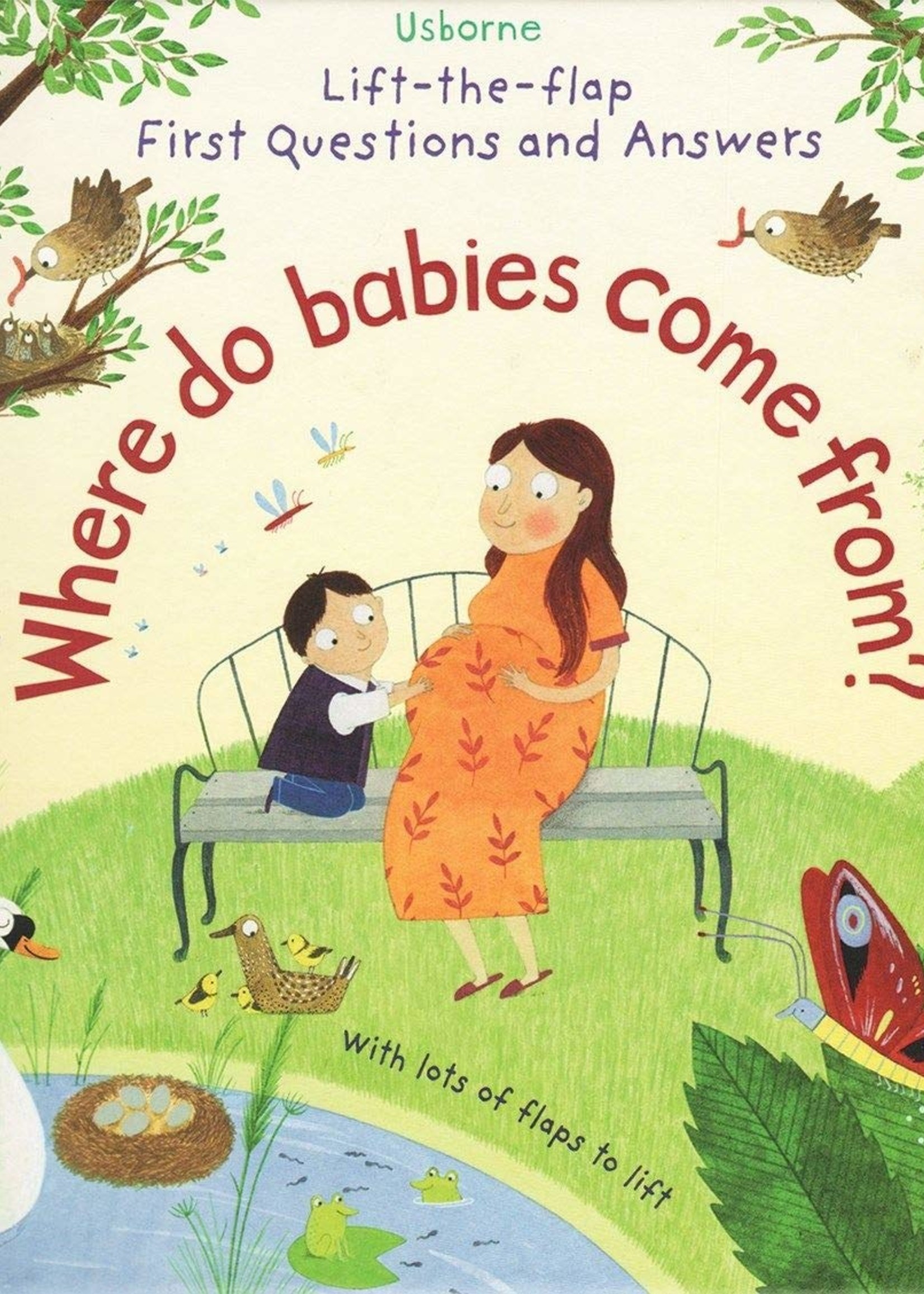 Usborne Where Do Babies Come From? Lift-the-flap - Board Book