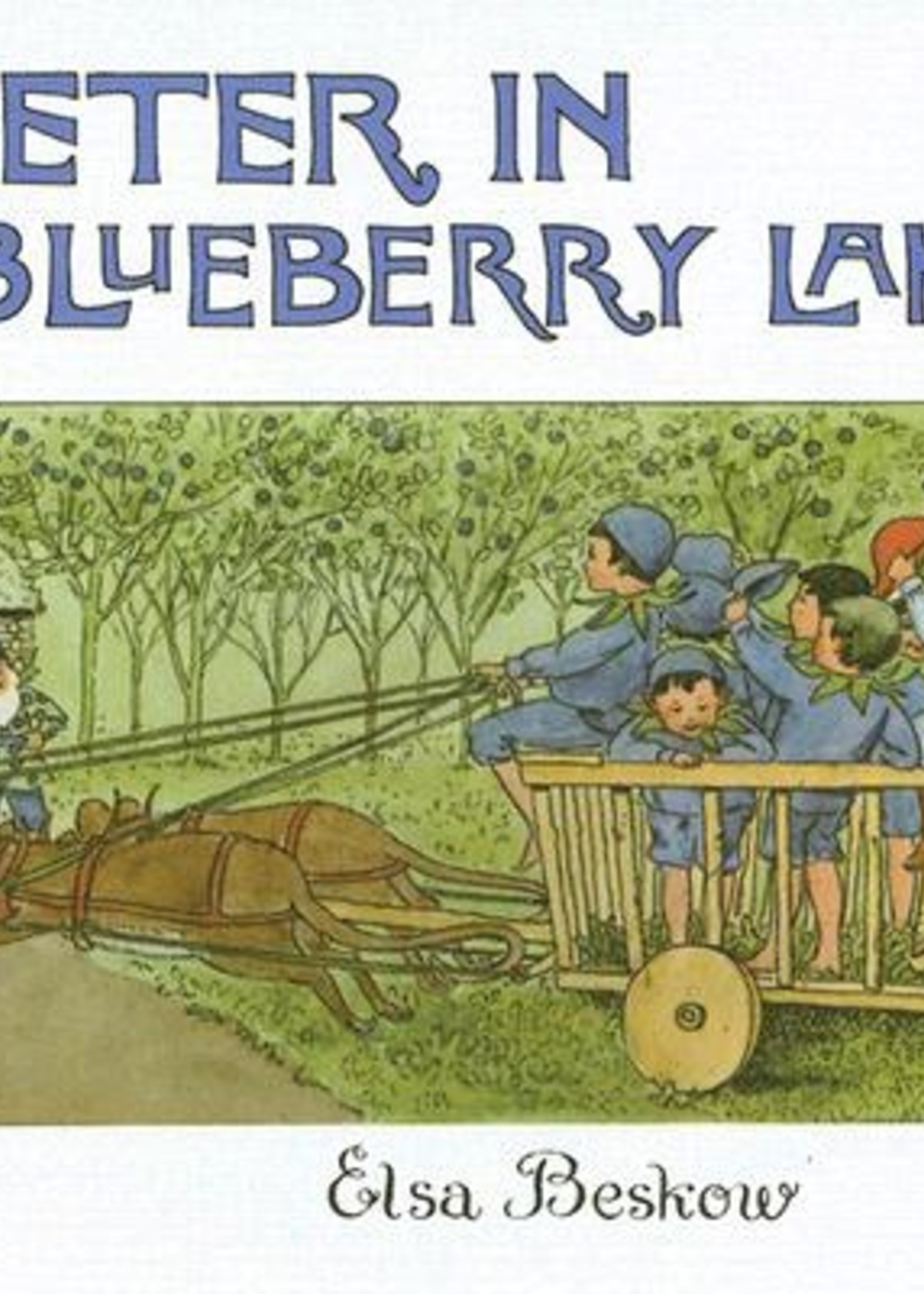 Peter in Blueberry Land, Mini - Hardcover