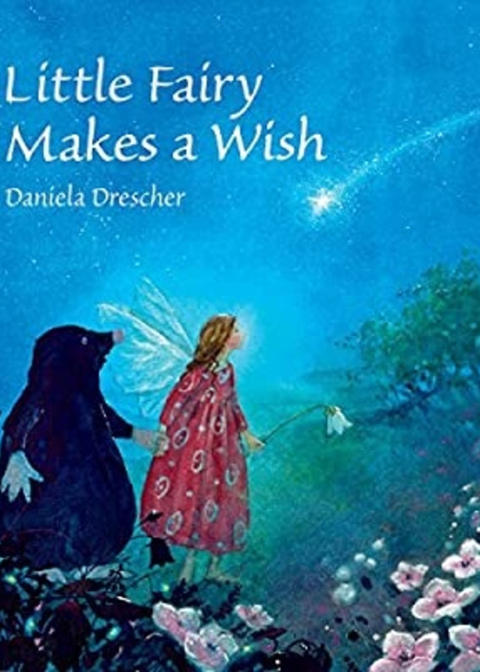 Little Fairy Makes a Wish - Hardcover