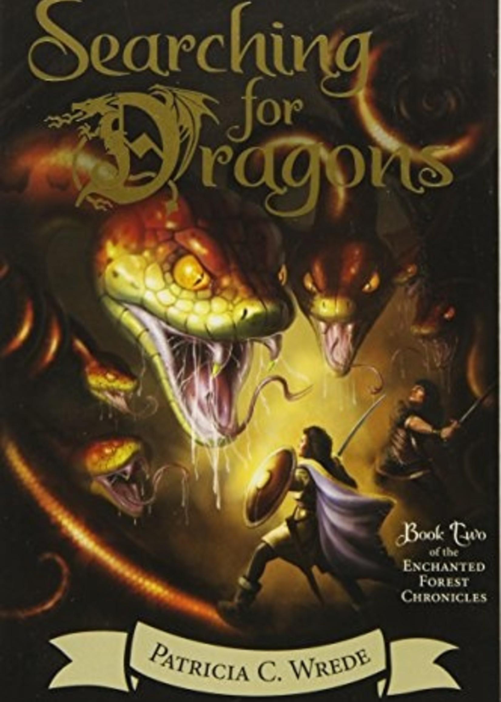 Enchanted Forest Chronicles #02, Searching for Dragons - Paperback