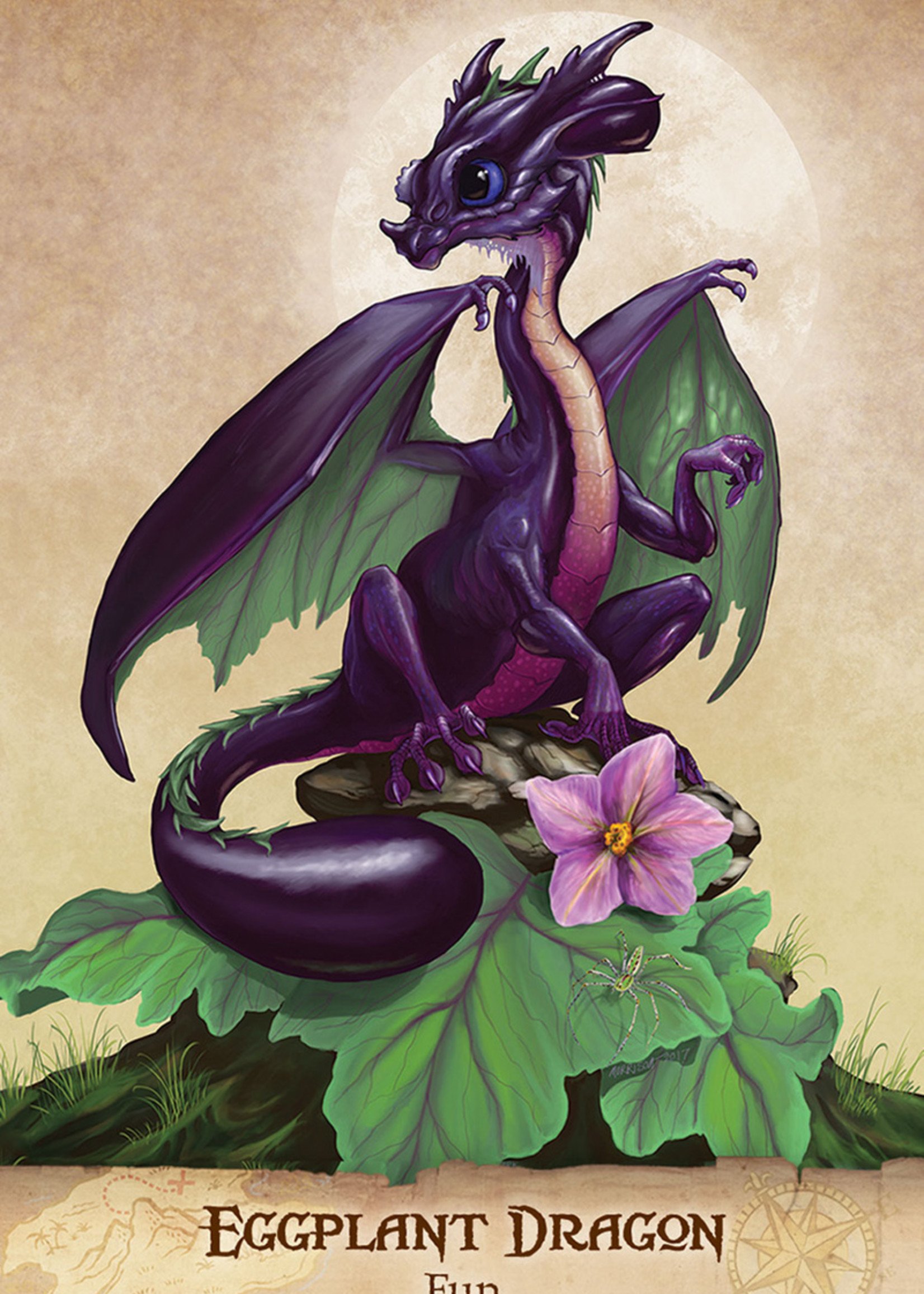 Field Guide to Garden Dragons - Box