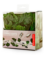 Ivy String LED Lights 10'  USB - Box