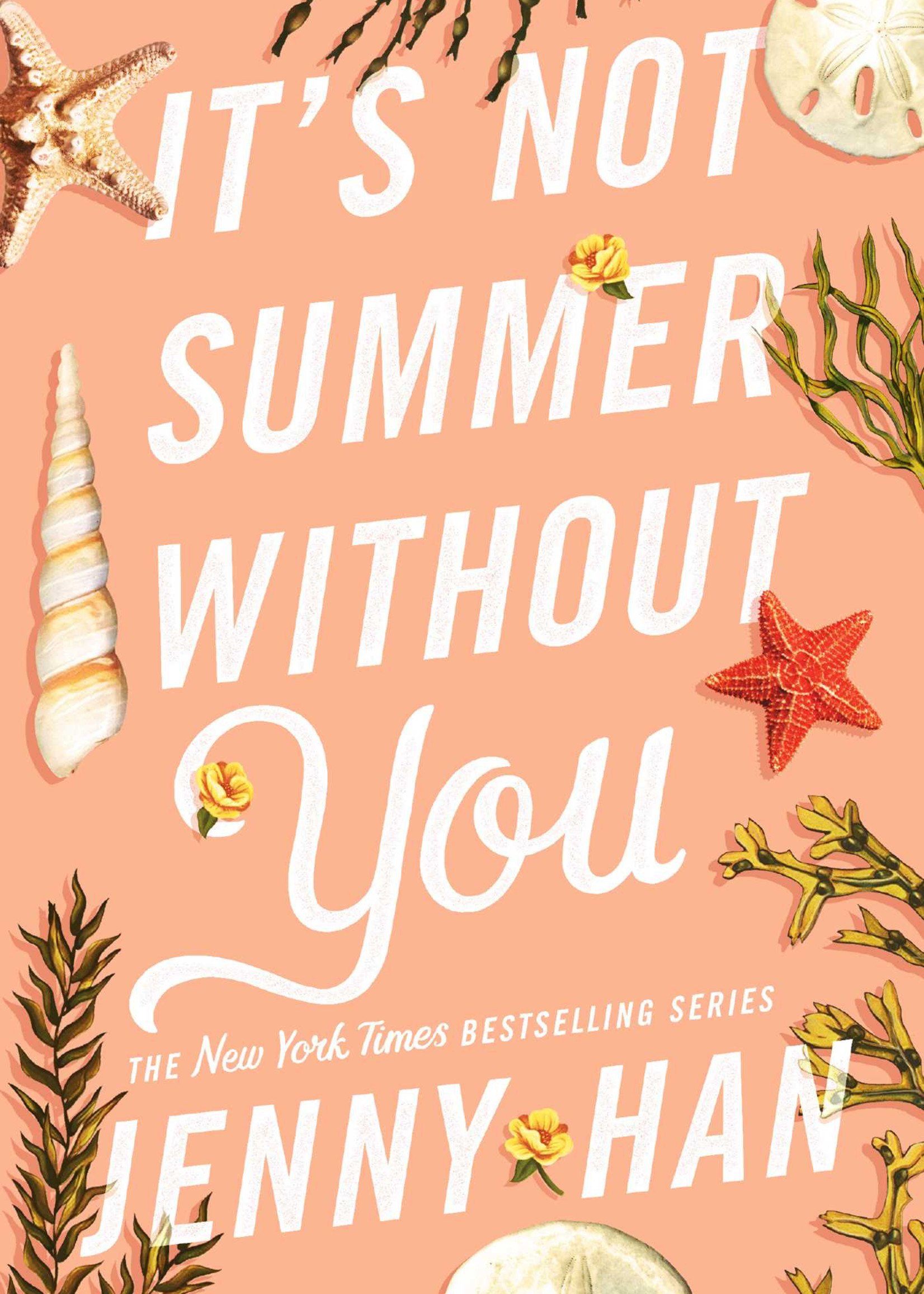 Summer #02, It's Not Summer Without You - Paperback