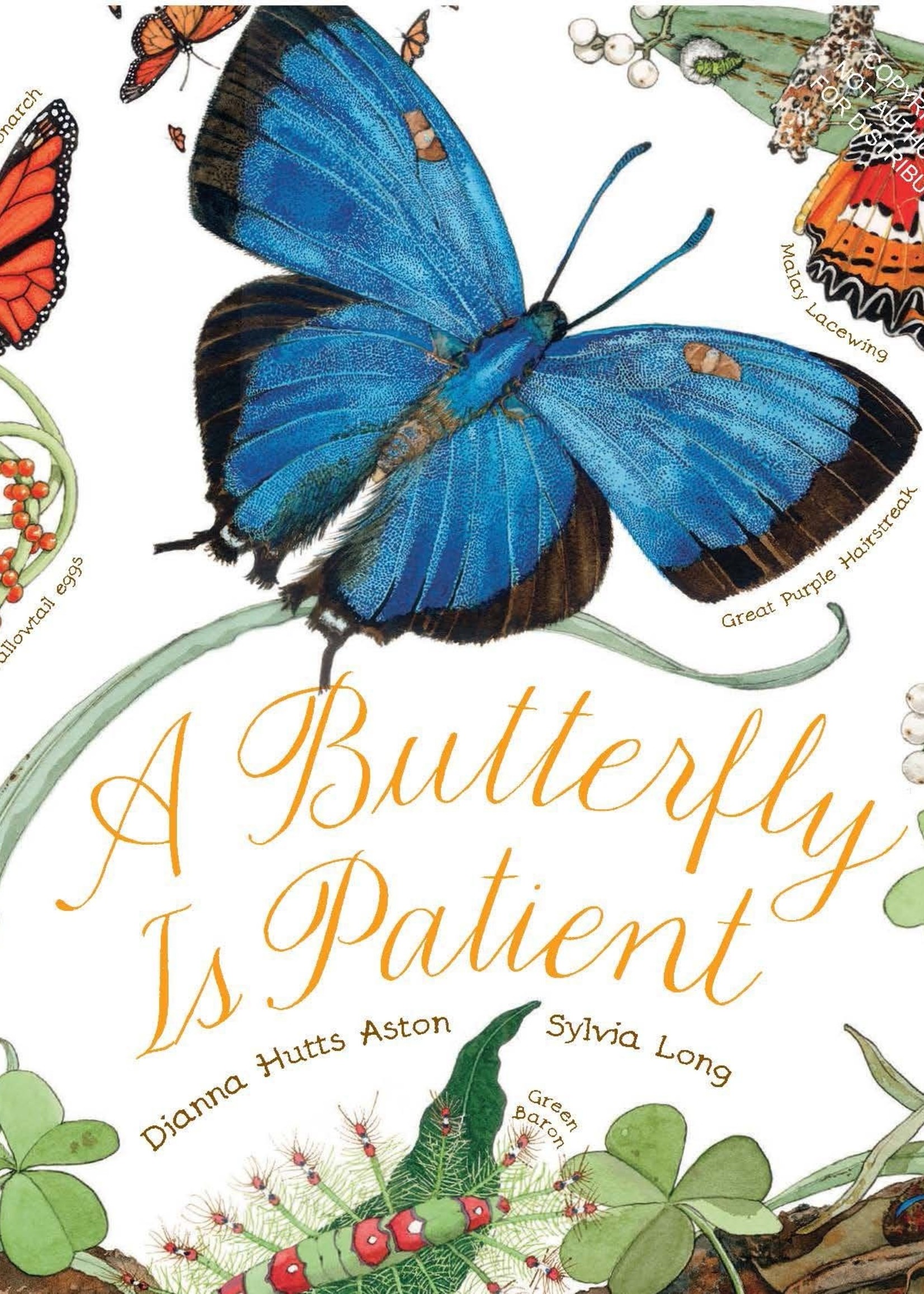 A Butterfly Is Patient - Paperback