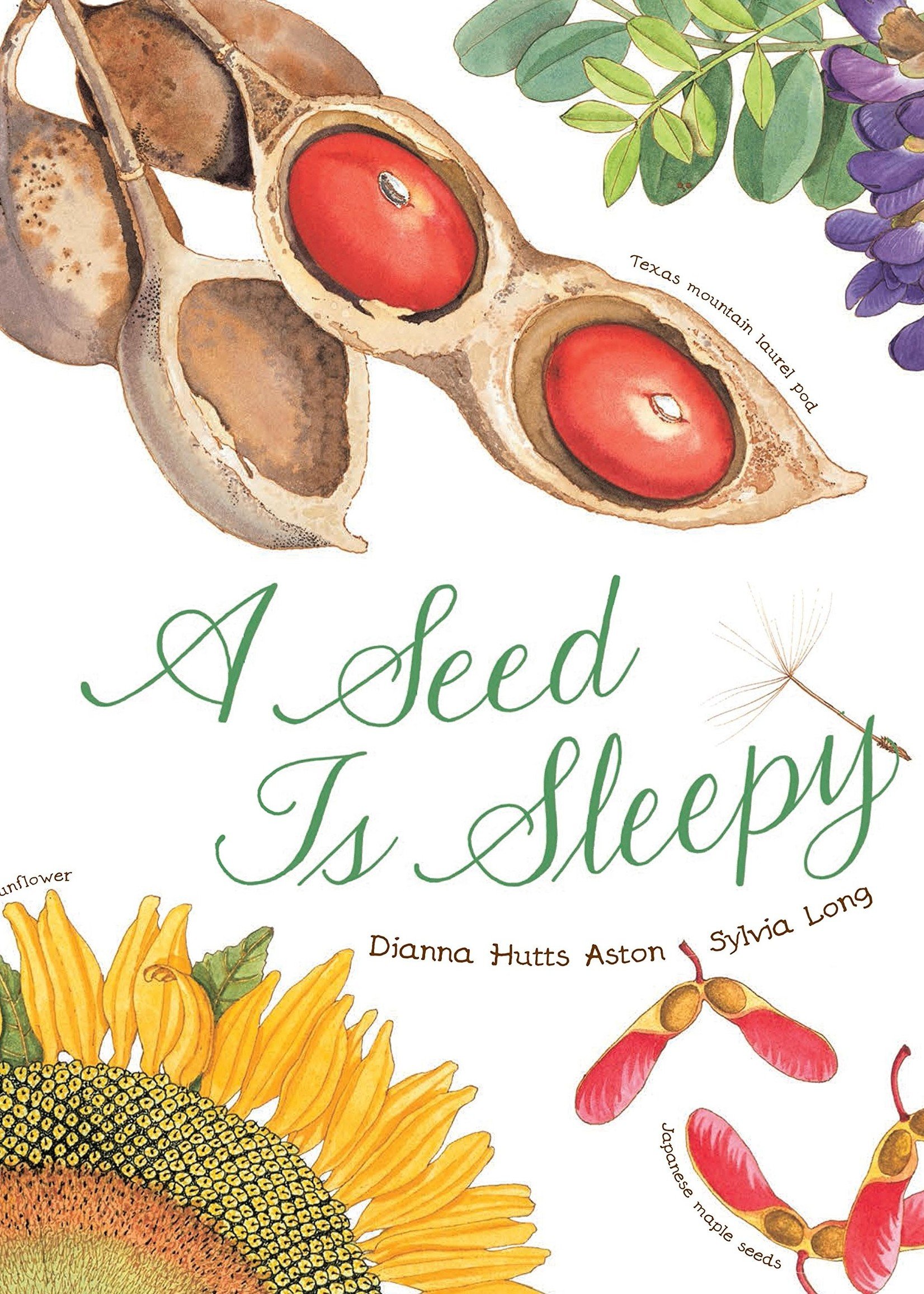 A Seed Is Sleepy - Paperback
