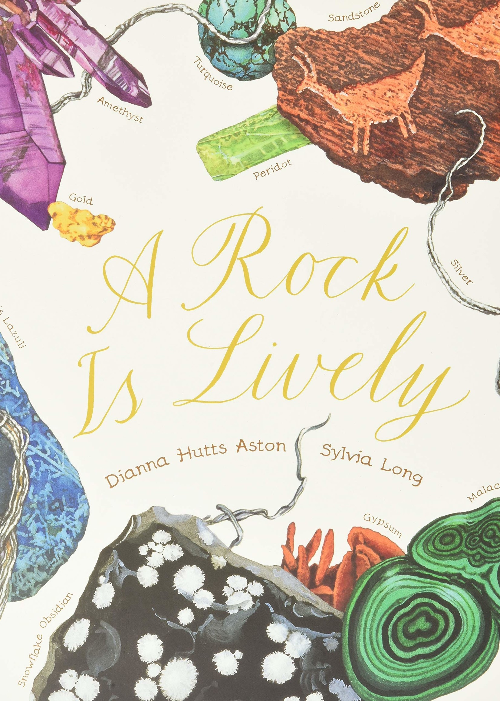 A Rock Is Lively - Paperback