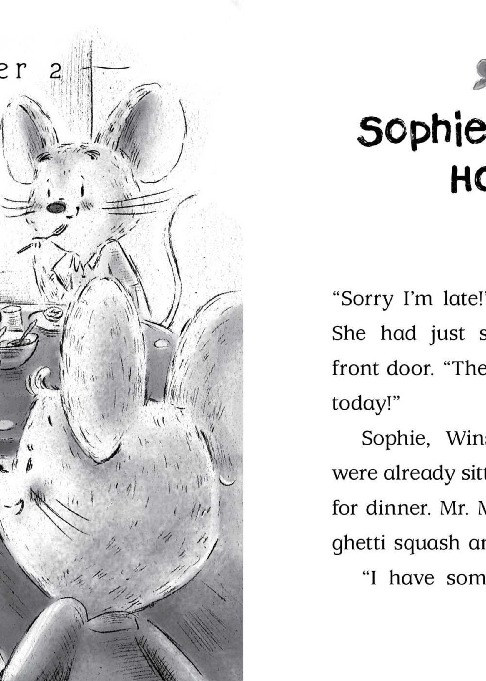 The Adventures of Sophie Mouse #04, Looking For Winston - Paperback