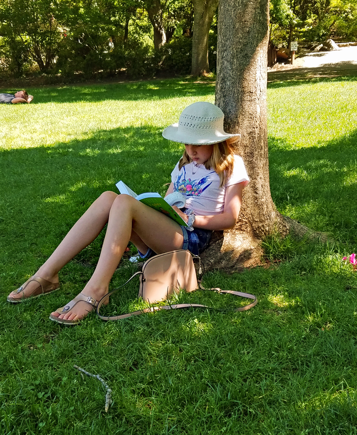 Summertime Reading Enchantment