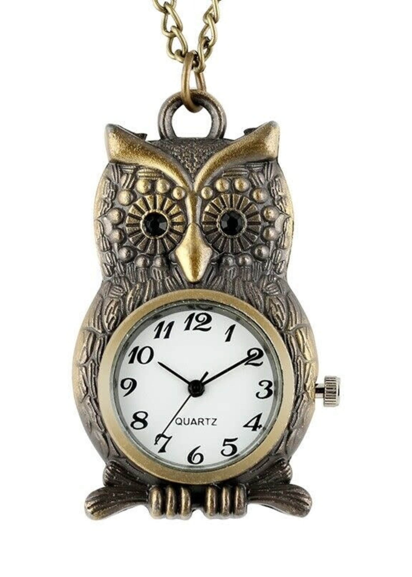 Perched Owl Antique Bronze Pocket Watch Necklace