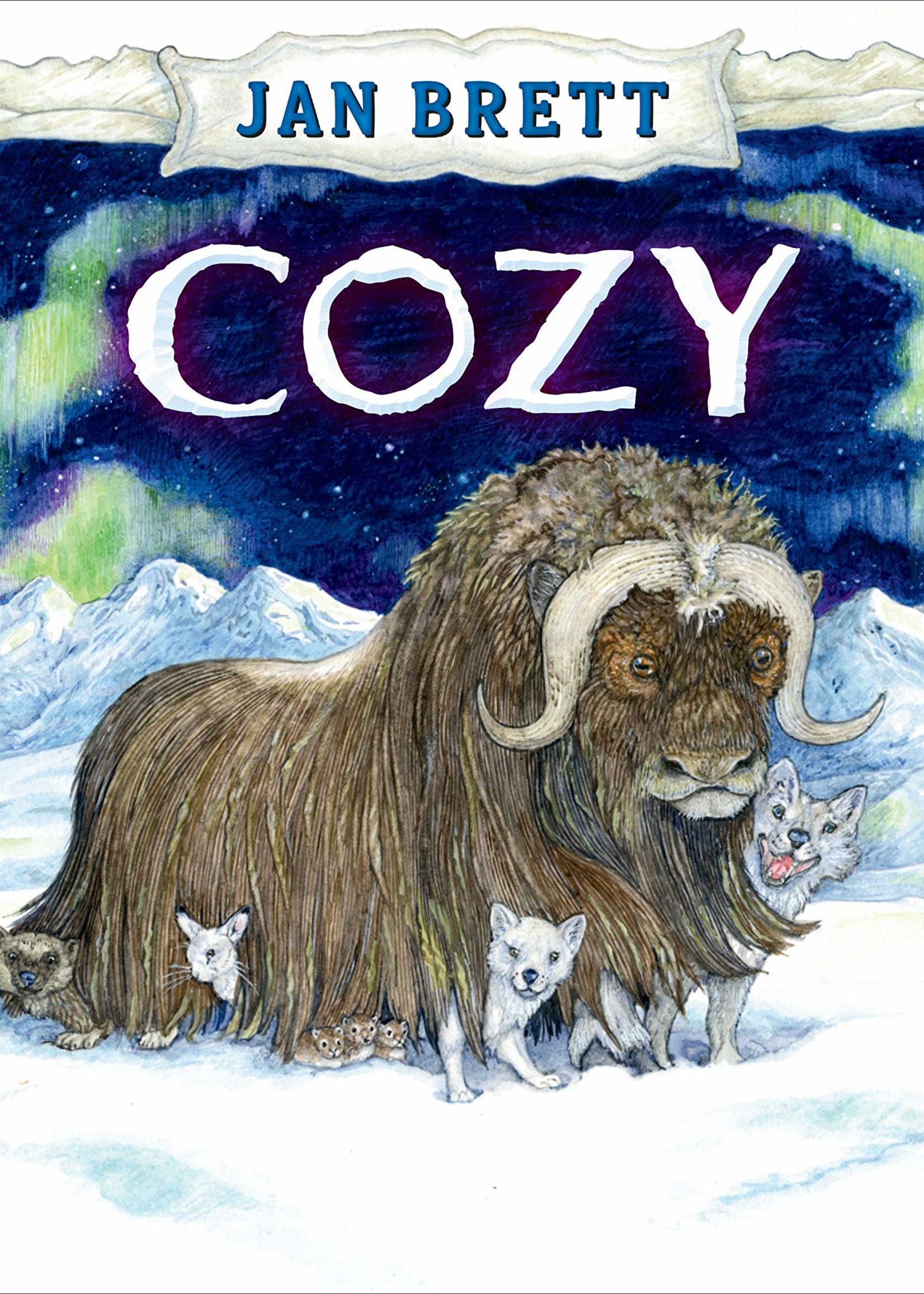 Cozy - Hardcover