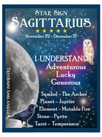 Star Sign Zodiac Kit, Sagittarius