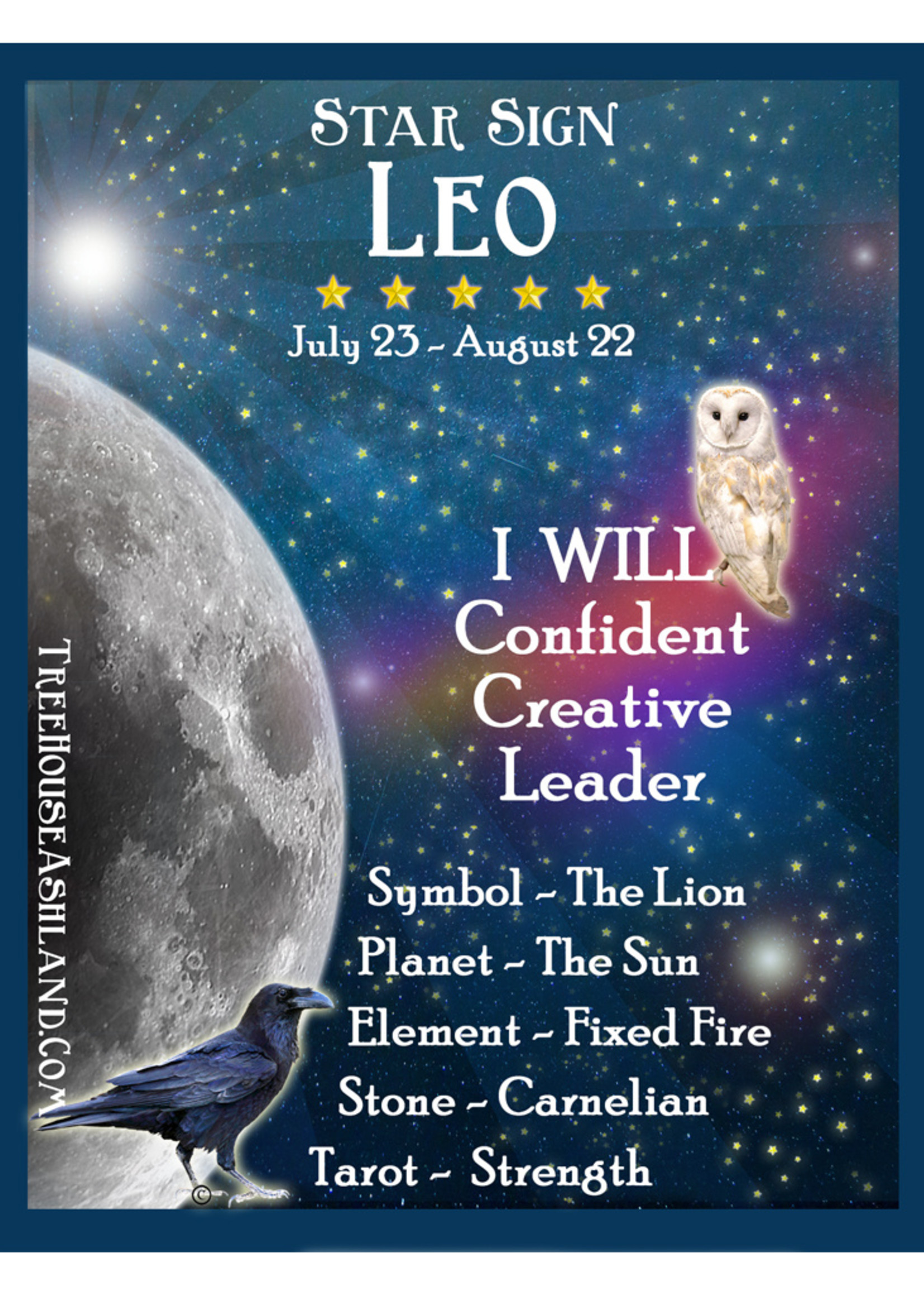 Star Sign Zodiac Kit, Leo