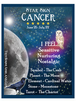 Star Sign Zodiac Kit, Cancer