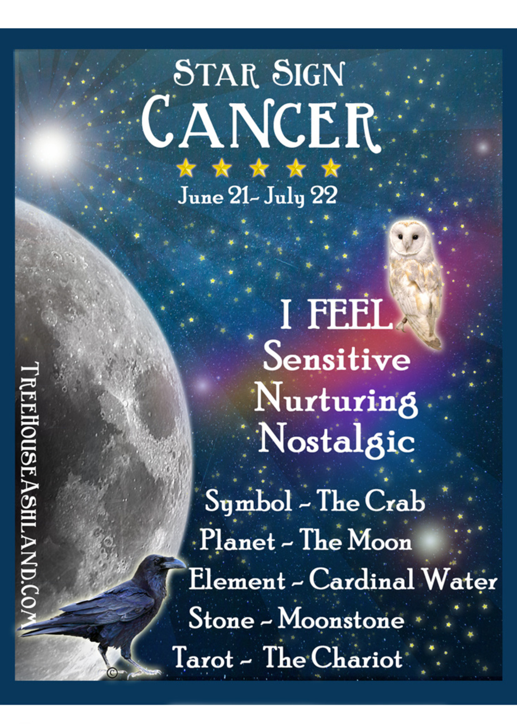 Star Sign Zodiac Kit, Cancer